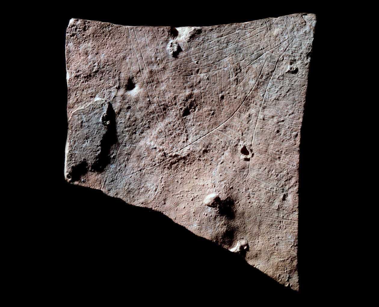 Grafit töredék hátul fejjel alkotó: Prehistoric Prehistoric