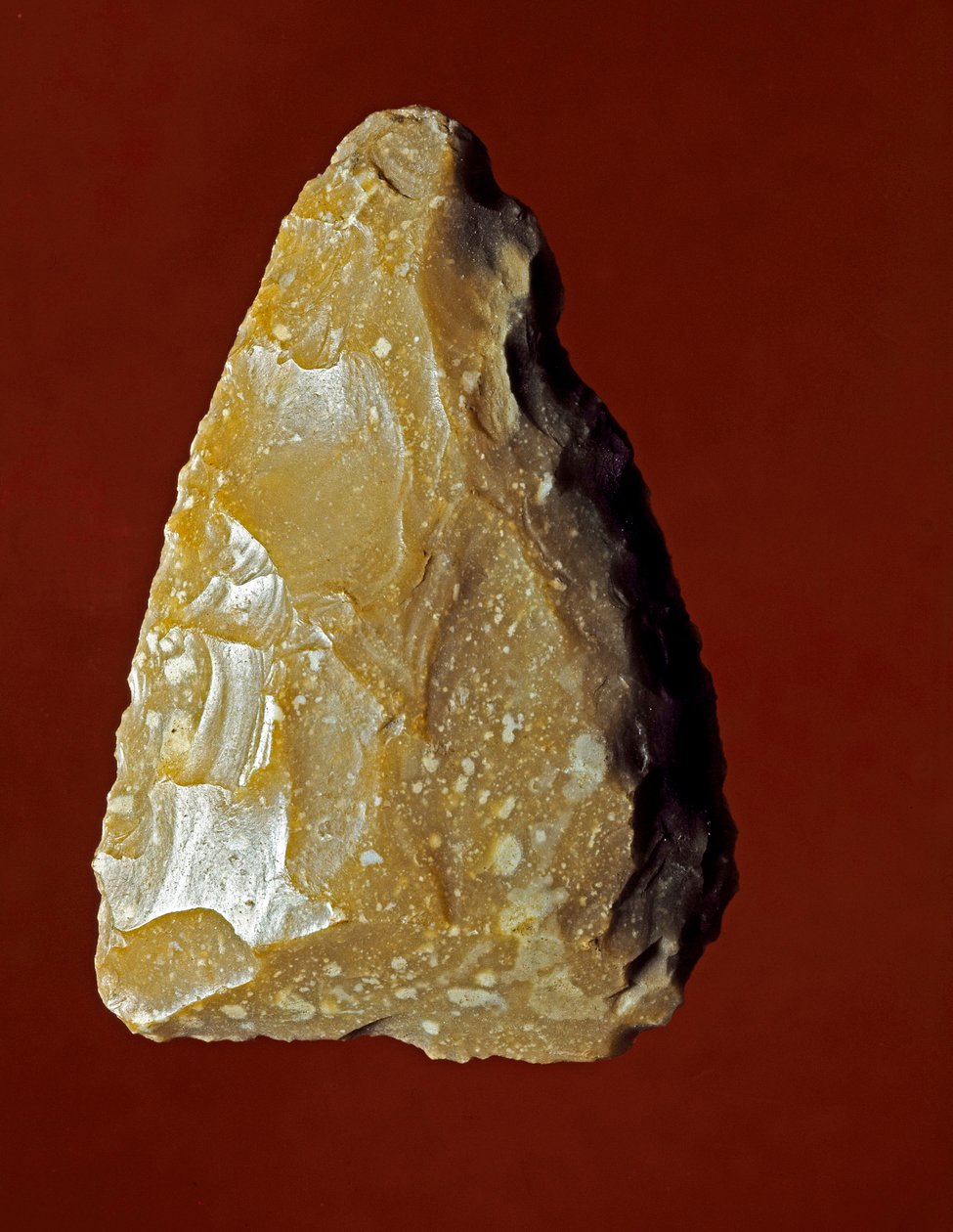 Őstörténet: Campignana kultúra litikus gyártóeszköze, Gargano, Olaszország. Kalkolit. Verone, Museo Civico di Storia Naturale, Olaszország alkotó: Prehistoric Prehistoric