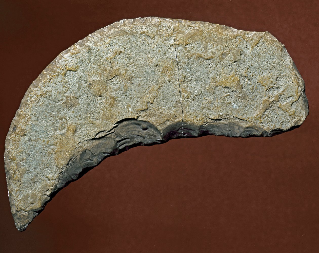 Őstörténet: a dániai Kjokkenmoddinger kőzetgyártásának aprító típusú szerszáma. Paleolit. Verone, Museo Civico di Storia Naturale, Olaszország alkotó: Prehistoric Prehistoric