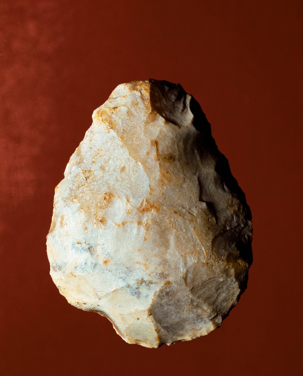 Őstörténet: Micoquian típusú littikus gyártási biface. Alsó paleolit. Verone, Museo Civico di Storia Naturale, Olaszország alkotó: Prehistoric Prehistoric