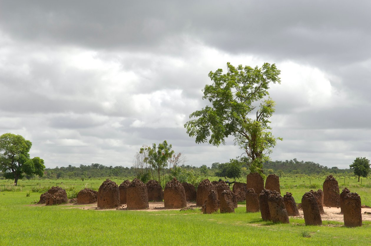 Őstörténet: Megalitikus kőkör Wassuból, Gambia (fotó) alkotó: Prehistoric Prehistoric