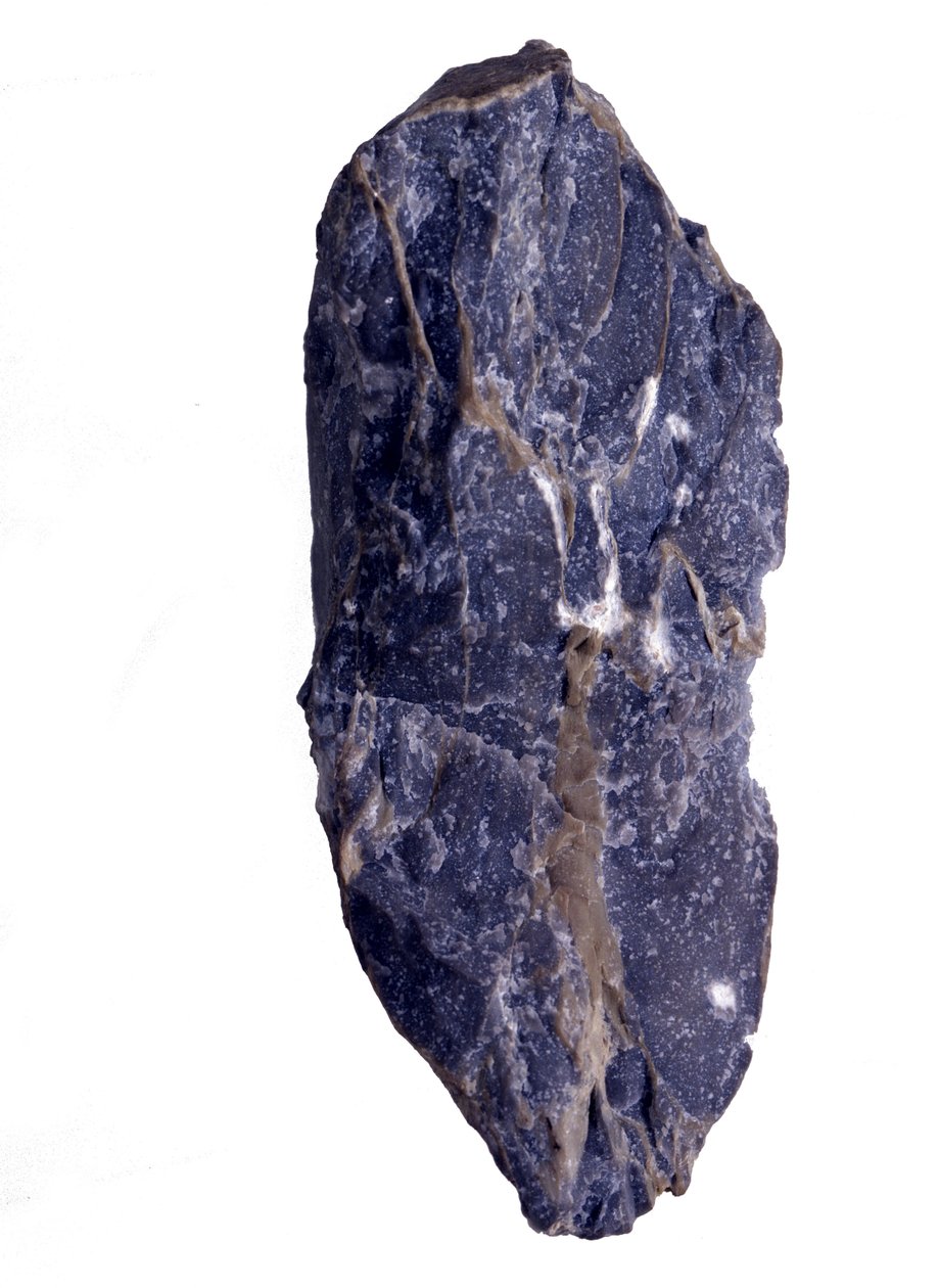 Őstörténet: A stromatolit vagy stromatolit típusú Collenia kőzet archeozoos vagy prekambriumi (archaikus) töredékének korszakai. Az Egyesült Államokból. alkotó: Prehistoric Prehistoric