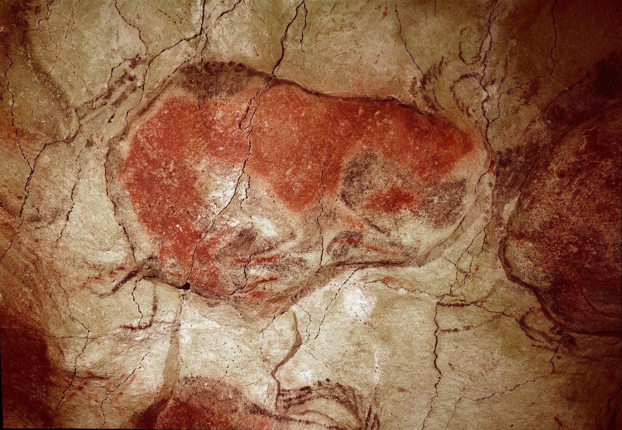 Őstörténet: „”nyugalmi bölény”” sziklafestmény a felső paleoloitikumról (magdalén) (16500 és 14000 év között) kőkorszaki bölénybarlang, Altamira, Santander, Spanyolország - Őstörténet: nyugalomban lévő bölény. sziklafestés, felső paleolit (magdalén) (1 alkotó: Prehistoric Prehistoric