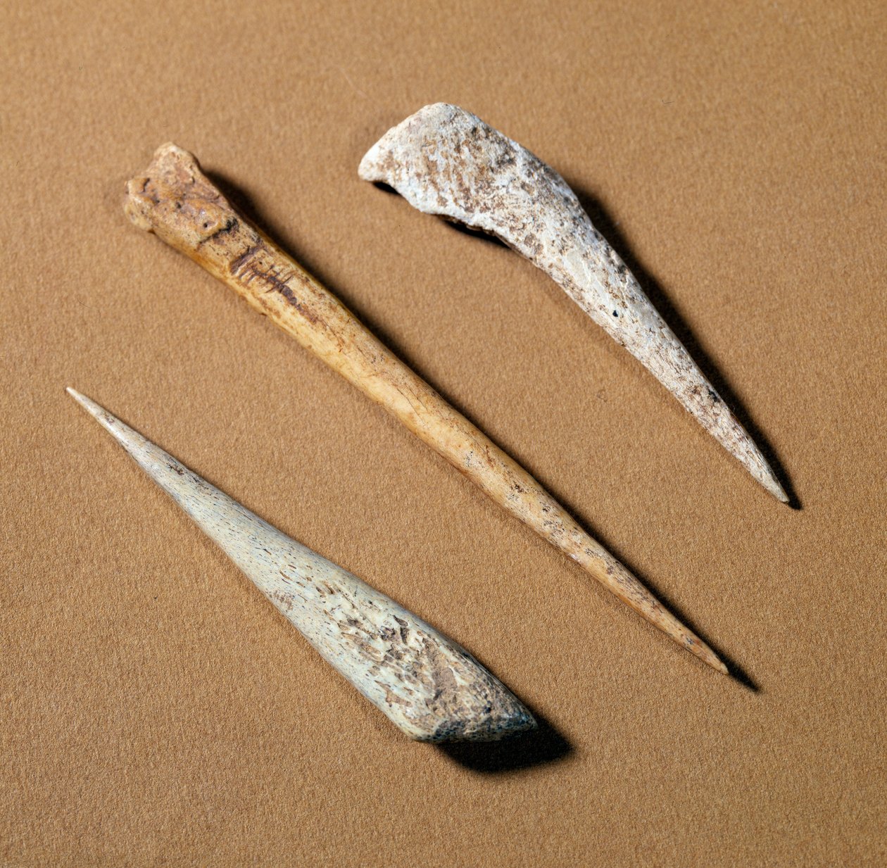 Őstörténet: csontsügér a paleolitikumból származik. Saint-Germain-en-Laye, régiségmúzeum alkotó: Prehistoric Prehistoric
