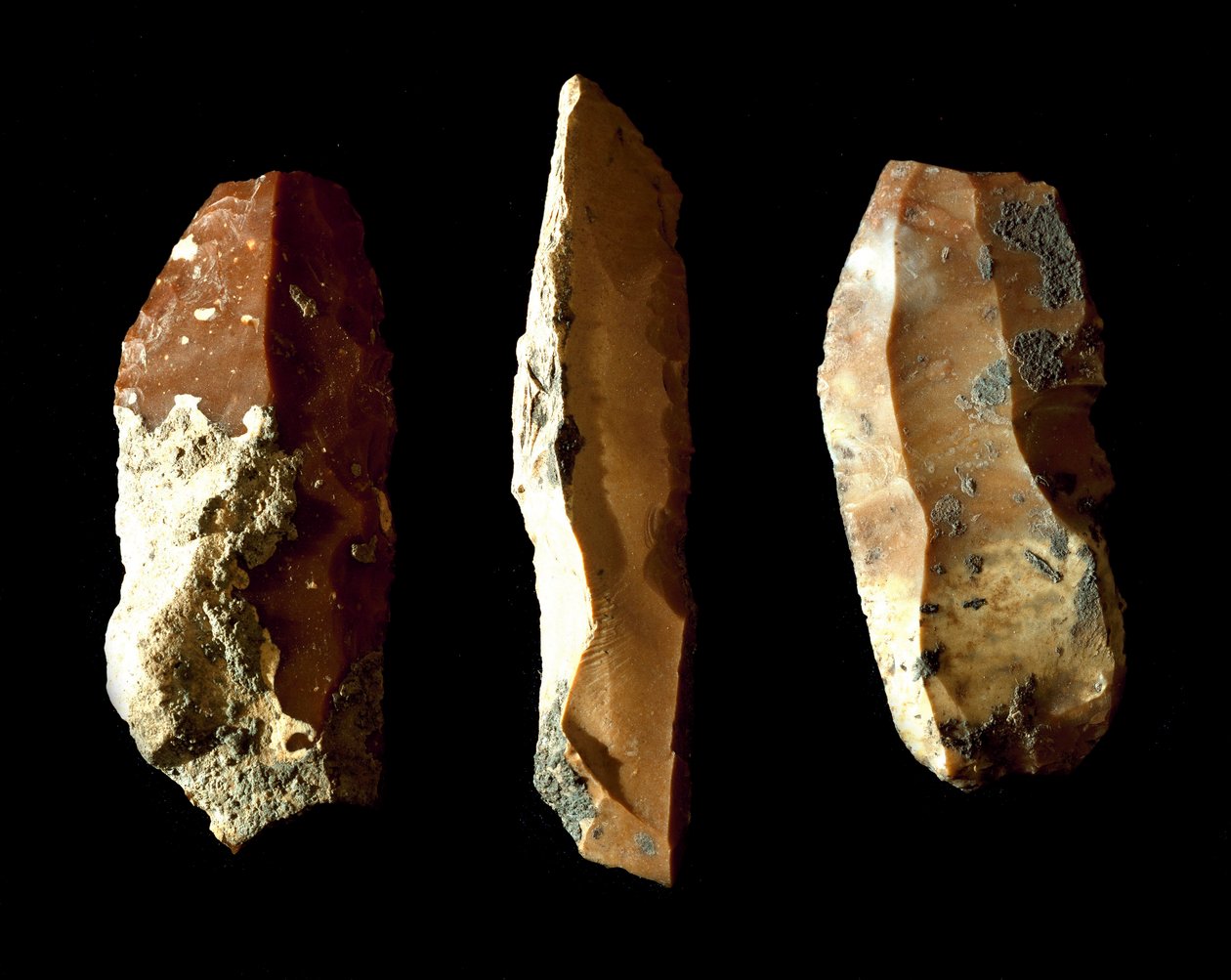 Őstörténet: kovakő kaparók. A neolitikum volt. Umbriából. Perugia, Umbriai Nemzeti Régészeti Múzeum alkotó: Prehistoric Prehistoric