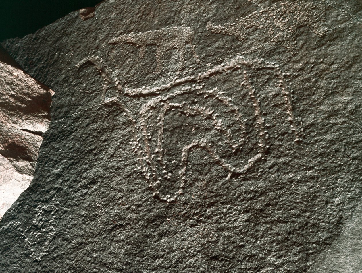 Őstörténet, sziklaművészet: a szarvasmarha ábrázolásának komoly sziklája. Tazina stílus. Kőkorszak Kr.e. 5000-2000. Taghit, Haut plateau du Hoggar (Ahaggar), Algéria alkotó: Prehistoric Prehistoric
