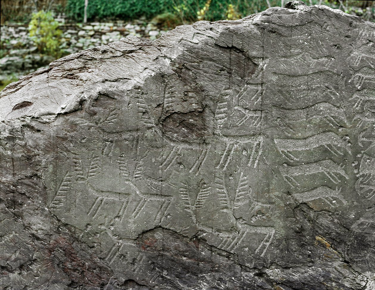 Őstörténet, sziklaművészet: szarvas, szarvasmarha ábrázolású sírkő. Rézkor. Eneolitikum időszak (kalkolit). Roche sz. 1. Cemmo (Brescia) Cemmo sziklái Nemzeti Régészeti Park, Olaszország alkotó: Prehistoric Prehistoric