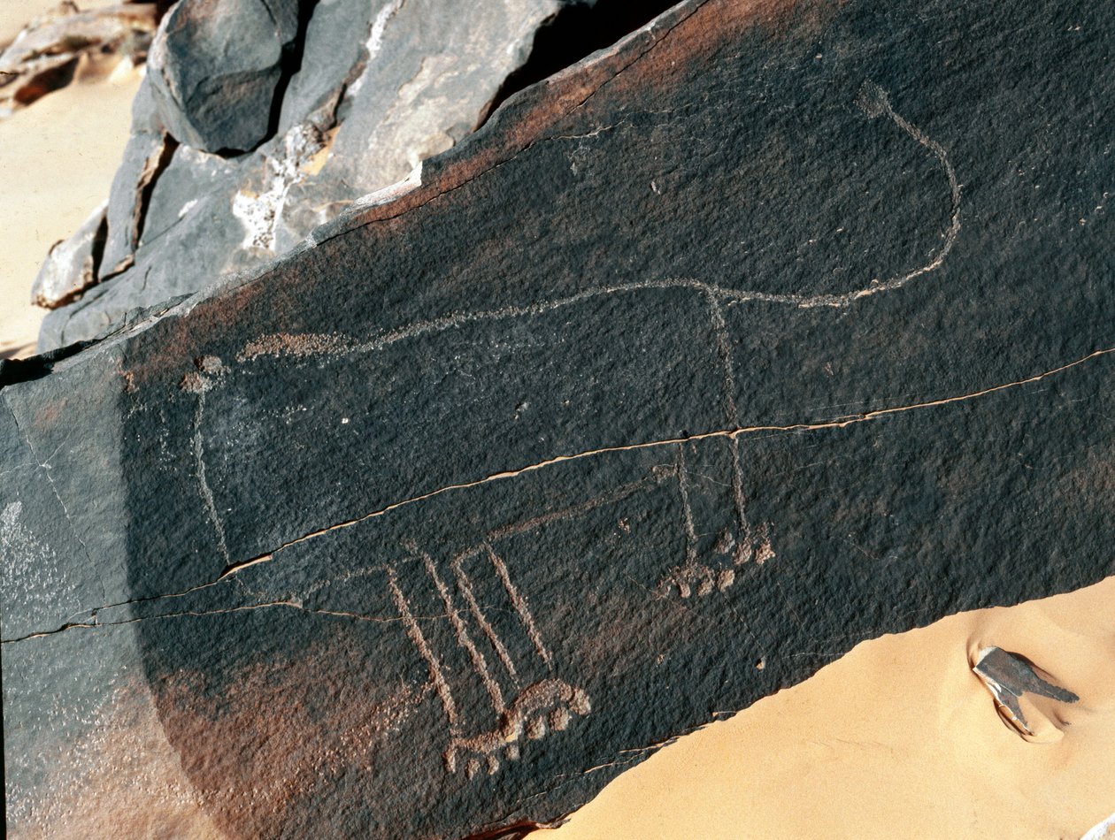 Őstörténet, sziklaművészet: oroszlánábrázolás sírszikla. Tazina stílus. Kőkorszak Kr.e. 5000-2000. Taghit, Haut plateau du Hoggar (Ahaggar), Algéria alkotó: Prehistoric Prehistoric