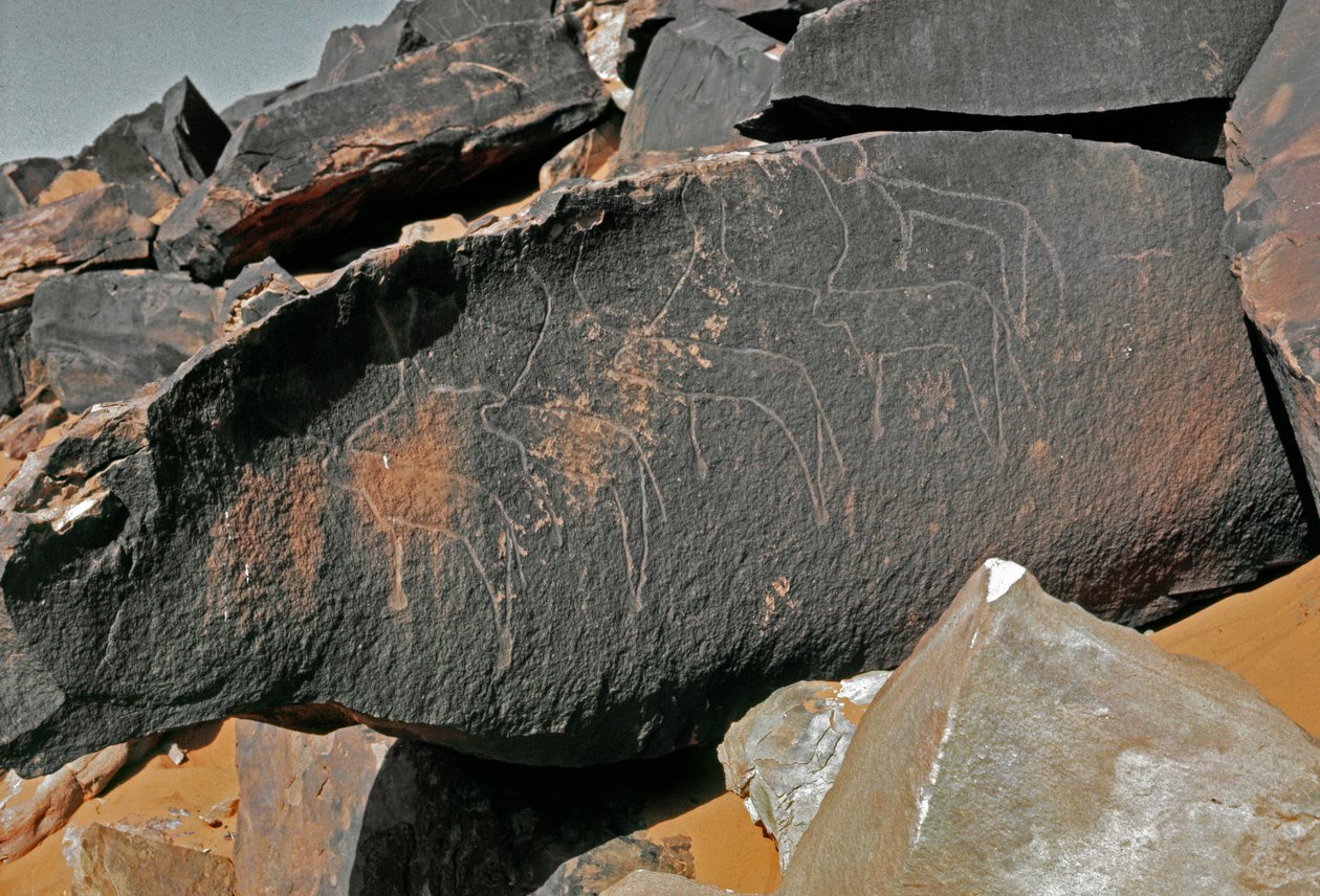 Őstörténet, sziklaművészet: szarvasmarha-ábrázolás sírkőzete. Tazina stílus. Kőkorszak Kr.e. 5000-2000. Taghit, Haut plateau du Hoggar (Ahaggar), Algéria alkotó: Prehistoric Prehistoric