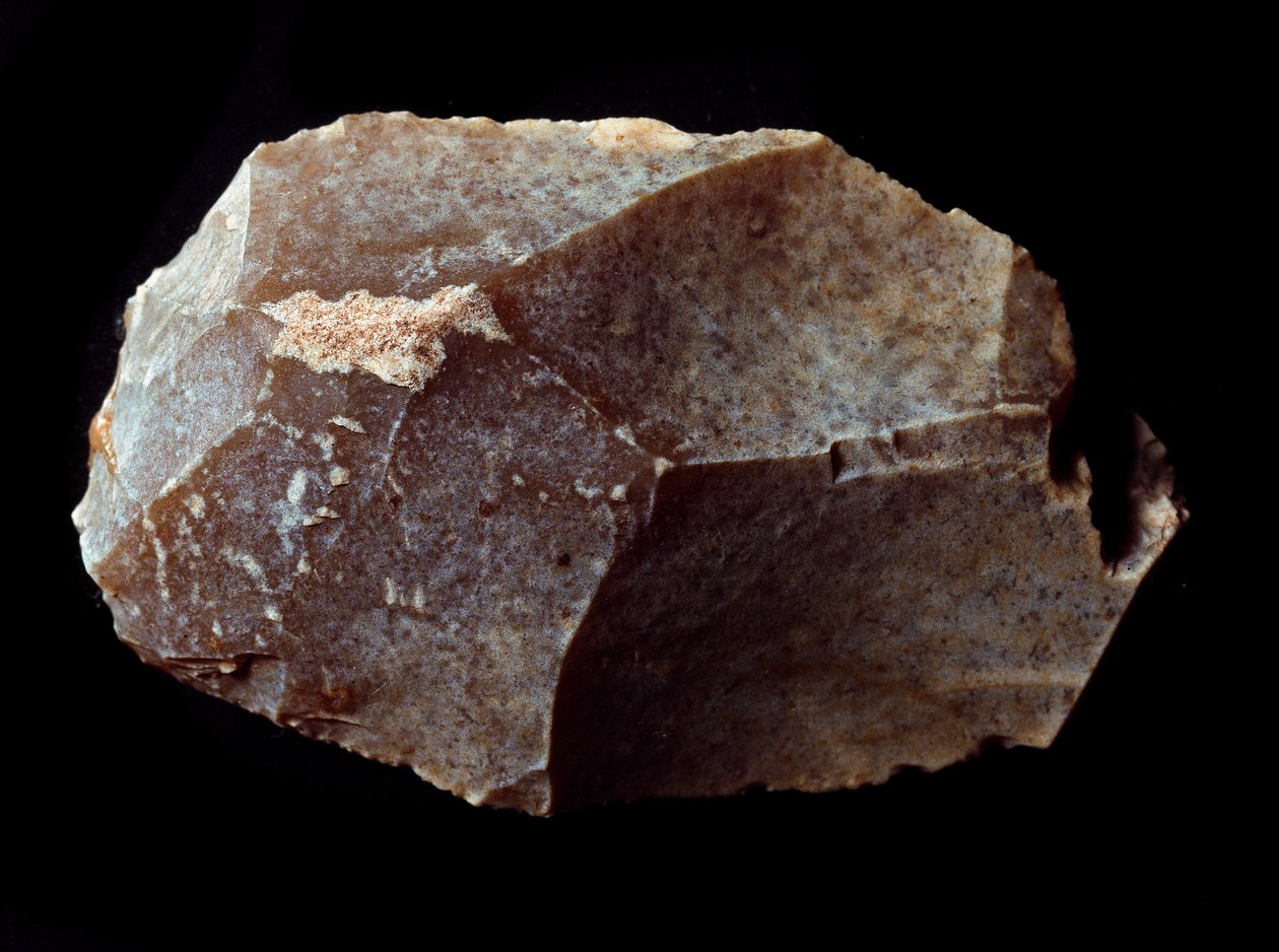 Őstörténet: kőkaparóra vágva. Felső paleolitikum, Magdolna. Verone, Polgári Természettudományi Múzeum, Olaszország alkotó: Prehistoric Prehistoric