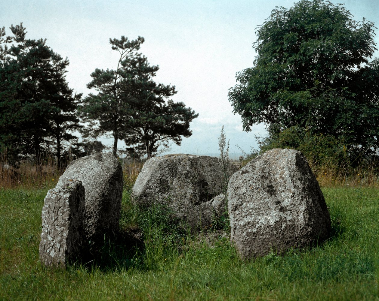 Őstörténet: kilátás a Chiancai dolmenre a bejárati folyosóval. Kőkorszak, neolitikum. Kr.e. 6-3. Bisceglie, Puglia, Olaszország alkotó: Prehistoric Prehistoric