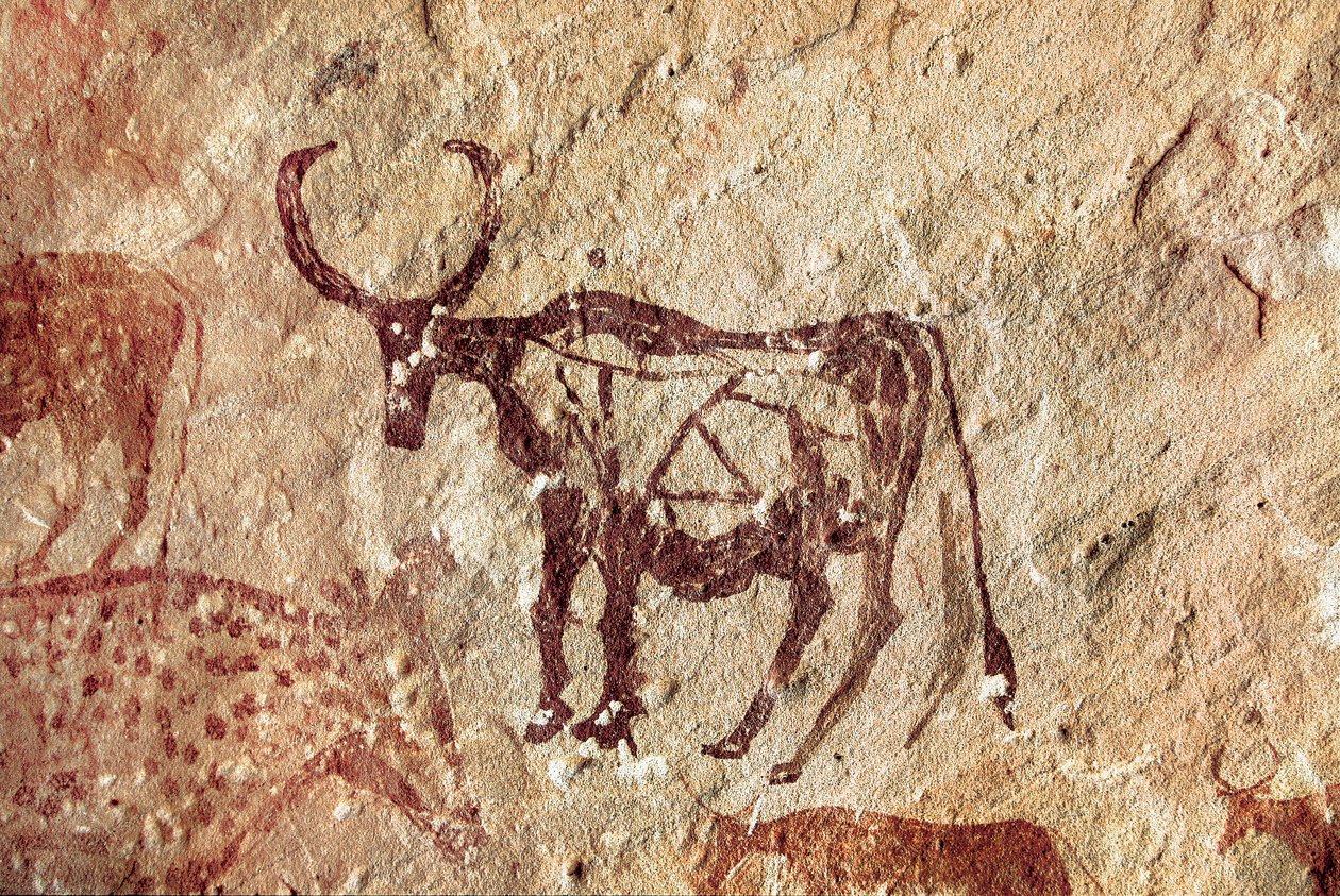 Sziklafestés: szarvasfélék ábrázolása. Tadrart Acacus barlangja, Líbia alkotó: Prehistoric Prehistoric