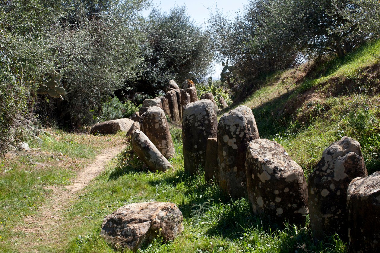 Cromlech M Zora régészeti lelőhelye, Sidi El Yamaniban (Marokkó). Neolitikus temetkezési halom (Kr. e. 2000), 167 monolittal körülvéve. alkotó: Prehistoric Prehistoric