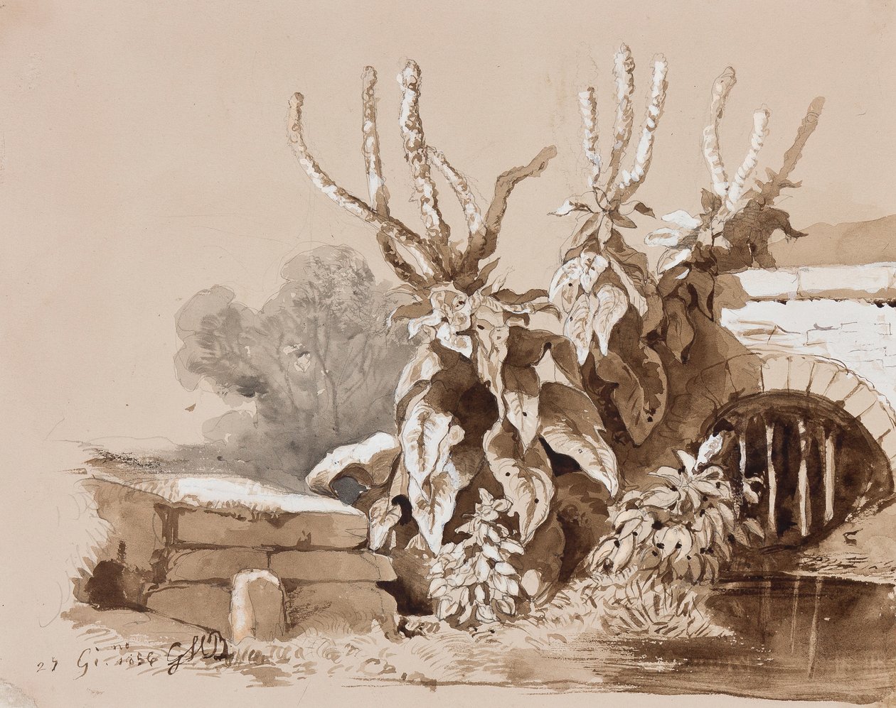 Növénytanulmány egy árok mellett, oktatói kiegészítésekkel, 1856 (ceruza, szépia mosás és gouache papíron) alkotó: Prince Gaetano Maria Federico di Borbone