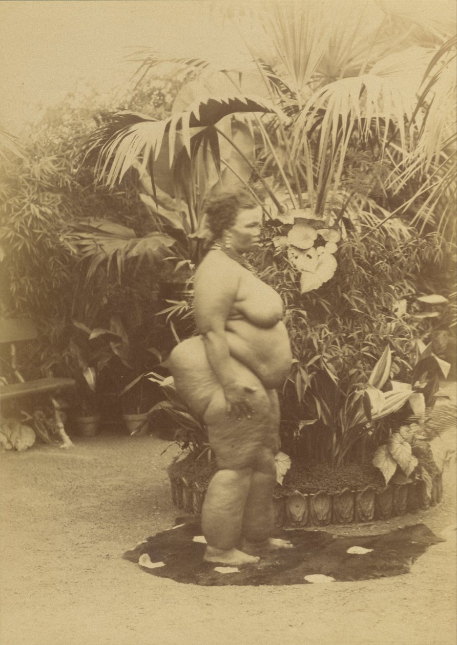 afrikai nő alkotó: Prince Roland Napoleon Bonaparte