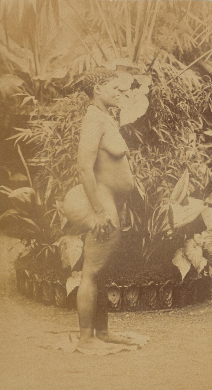 [Dél-afrikai nő, meztelen] alkotó: Prince Roland Napoleon Bonaparte