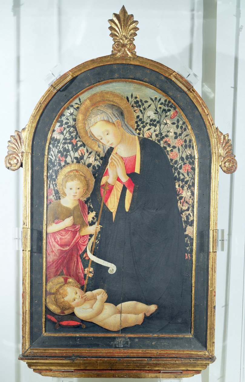 Gyermekimádás a fiatal Keresztelő Szent Jánossal (panel) alkotó: Pier Francesco Fiorentino