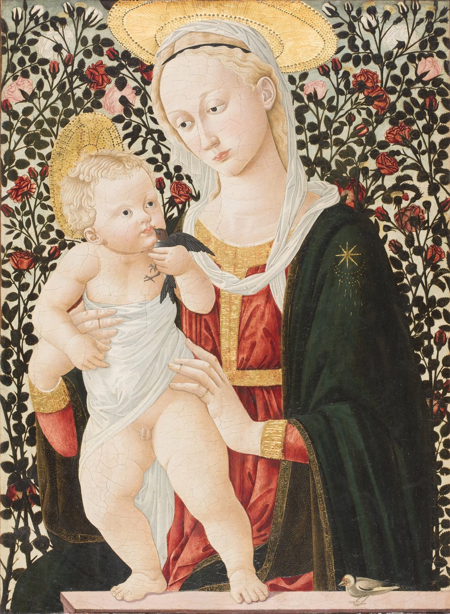 Rózsák Madonnája, 1485-90 körül (tempera) alkotó: Pier Francesco Fiorentino
