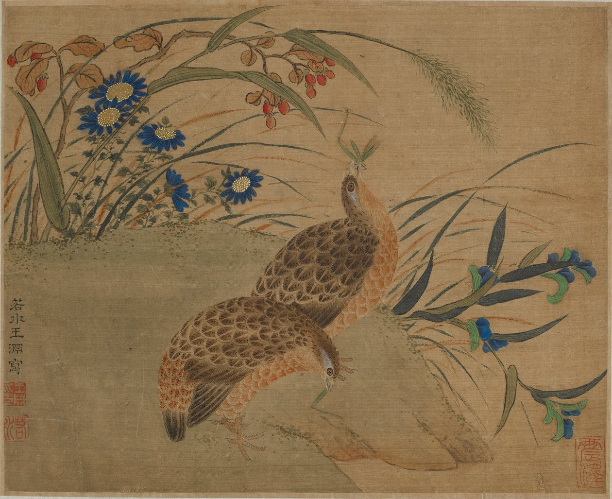 Két fürj eszik szöcskét a virágok alatt alkotó: Qing Dynasty Chinese School