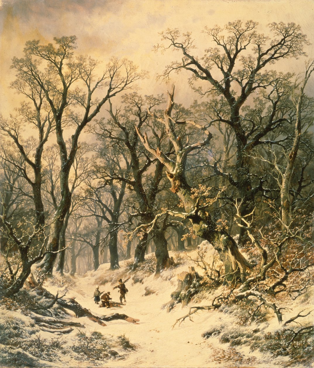 Az erdő alkotó: R. Van Hannen