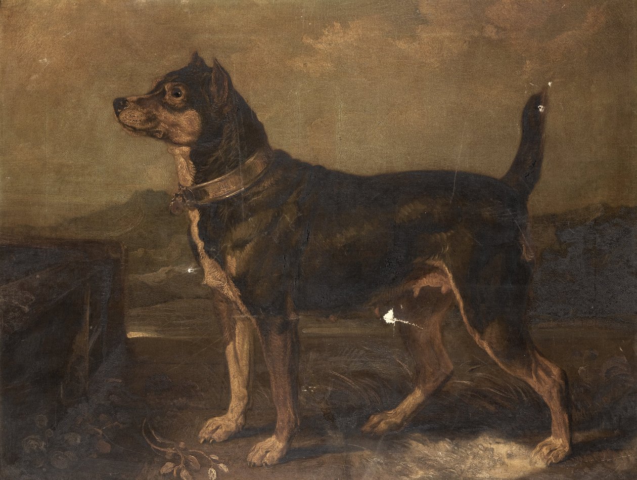 Terrier a tájban alkotó: R.A. James Ward
