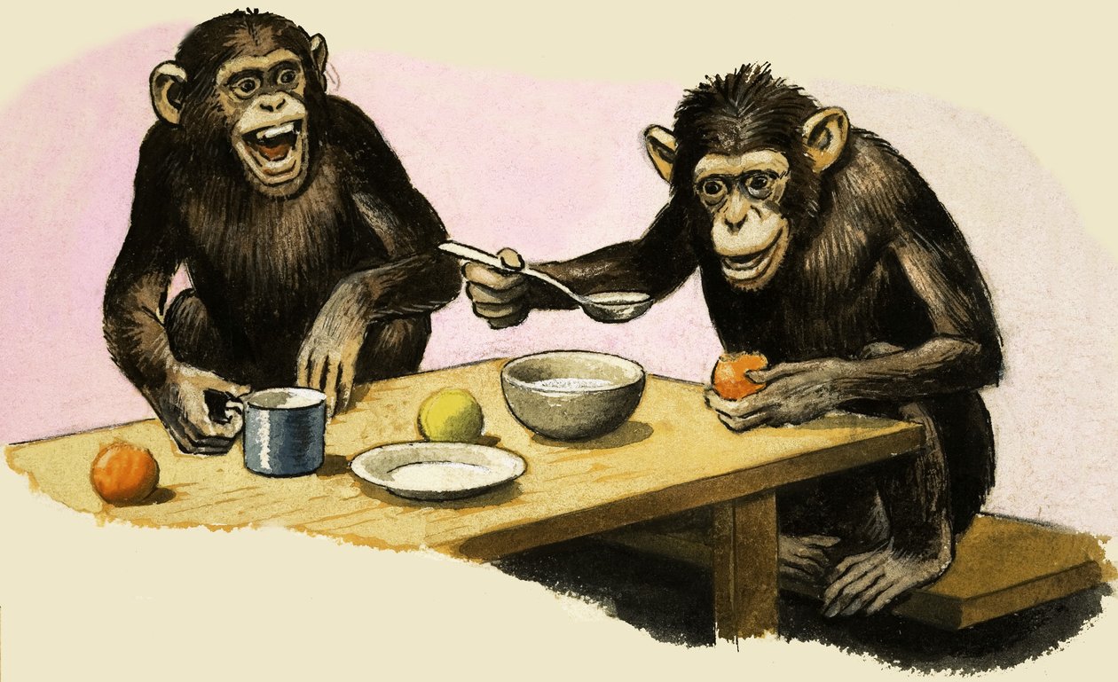 Z mint Zoo. A csimpánz teapartija alkotó: R.B. Davis