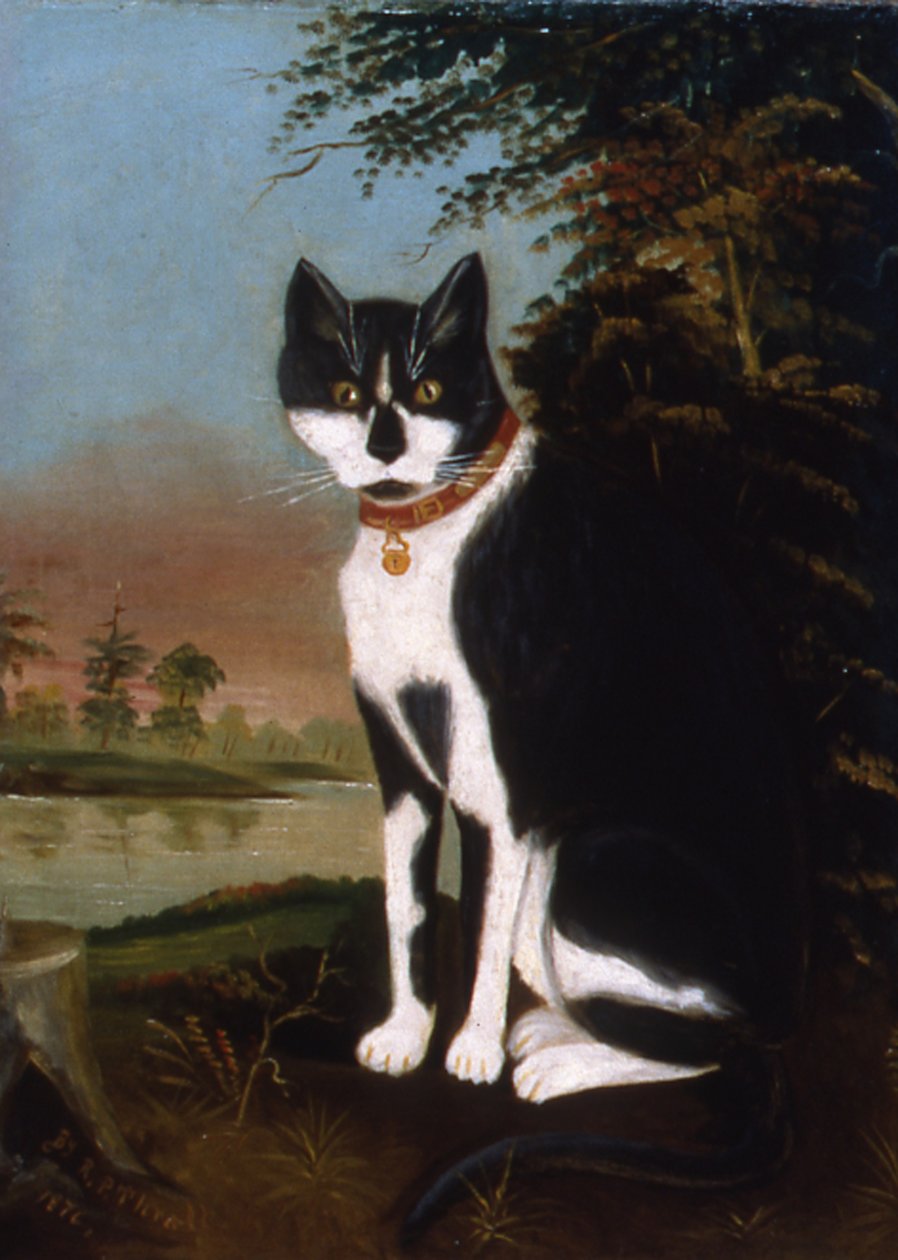 Minnie a falu széléről, 1876 alkotó: R.P. Thrall