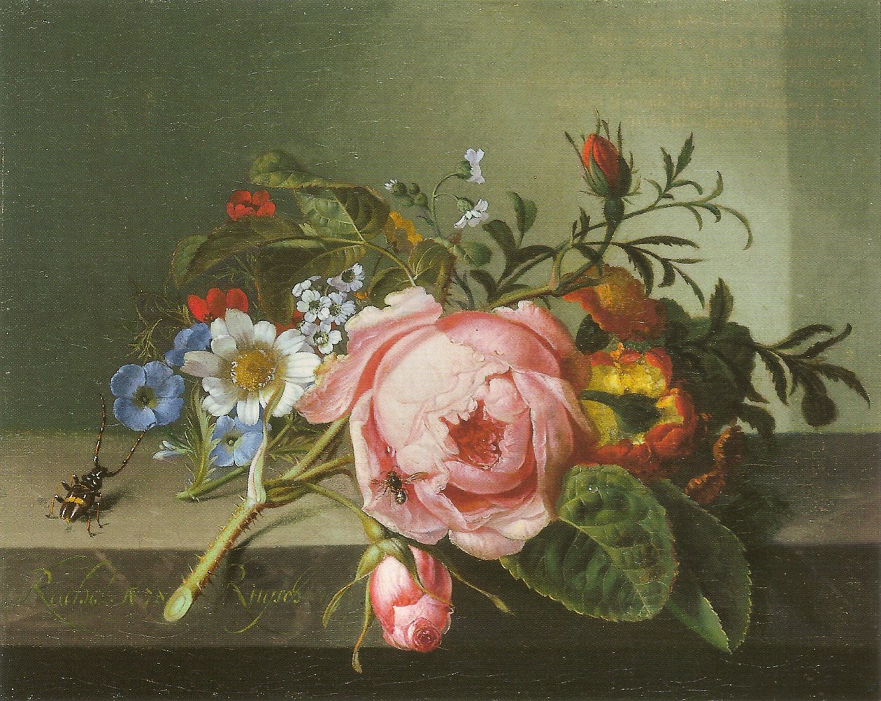 Rózsa ág, bogár és méh alkotó: Rachel Ruysch