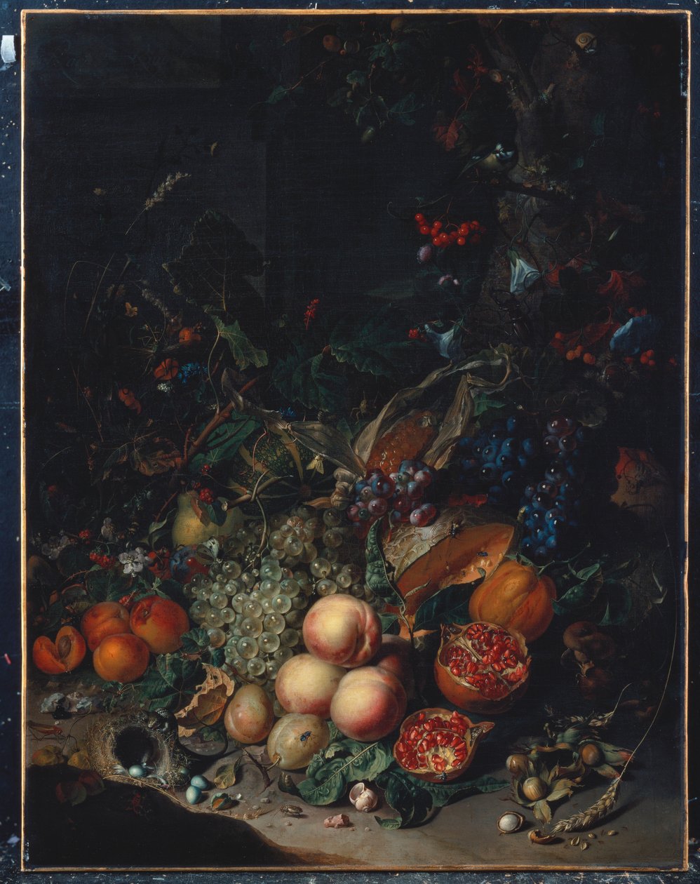 Őszibarack, szőlő, gránátalma, dinnye, kukoricacsutka, sárgabarack, szilva, körte, makk, 1718 alkotó: Rachel Ruysch