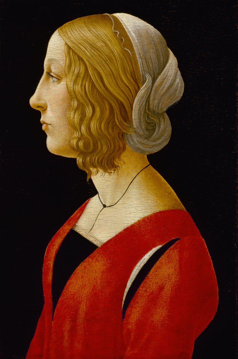 Egy fiatal nő mellszobra, 1485-90 körül (tempera a panelen) alkotó: Raffaellino del Garbo