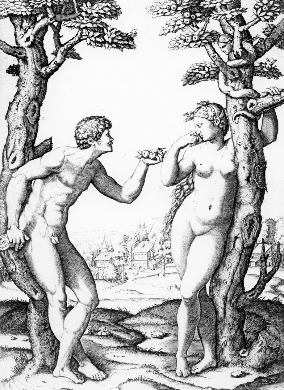 Ádám és Éva, Marcantonio metszet, 1520 körül alkotó: Raffaello Sanzio Raphael