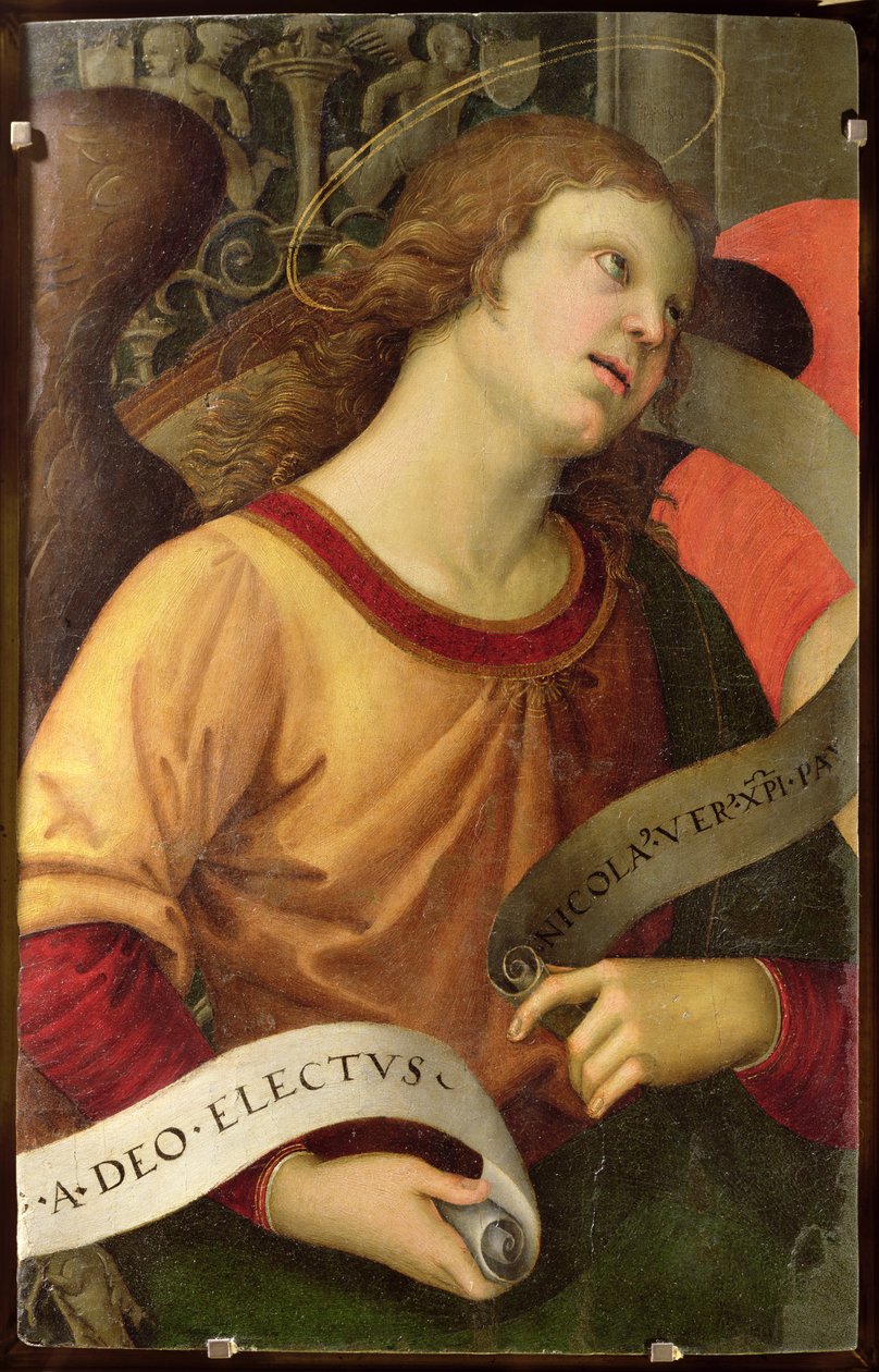 Angyal, Tolentinói Szent Miklós poliptichonjából, 1501 alkotó: Raffaello Sanzio Raphael