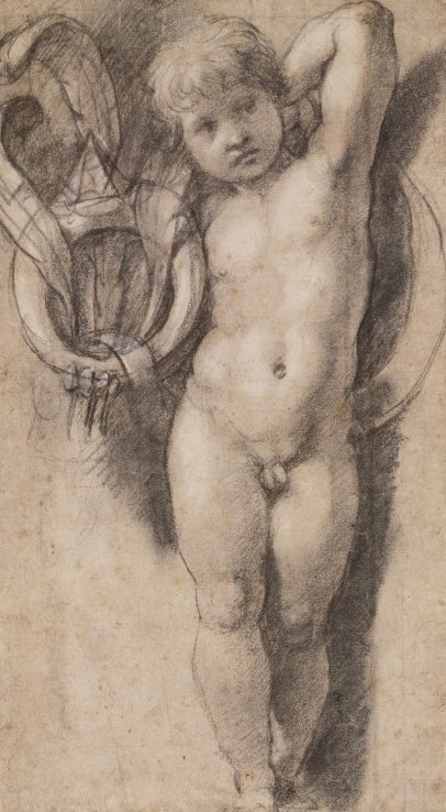 Puttó Medici szimbólumokkal alkotó: Raffaello Sanzio Raphael