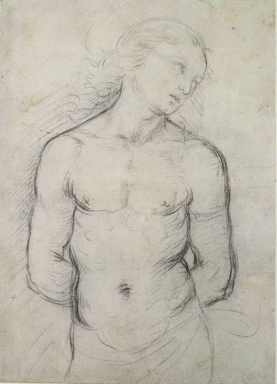 Saint Sebastian, 1499-1500 (fekete kréta fehér papíron) alkotó: Raffaello Sanzio Raphael