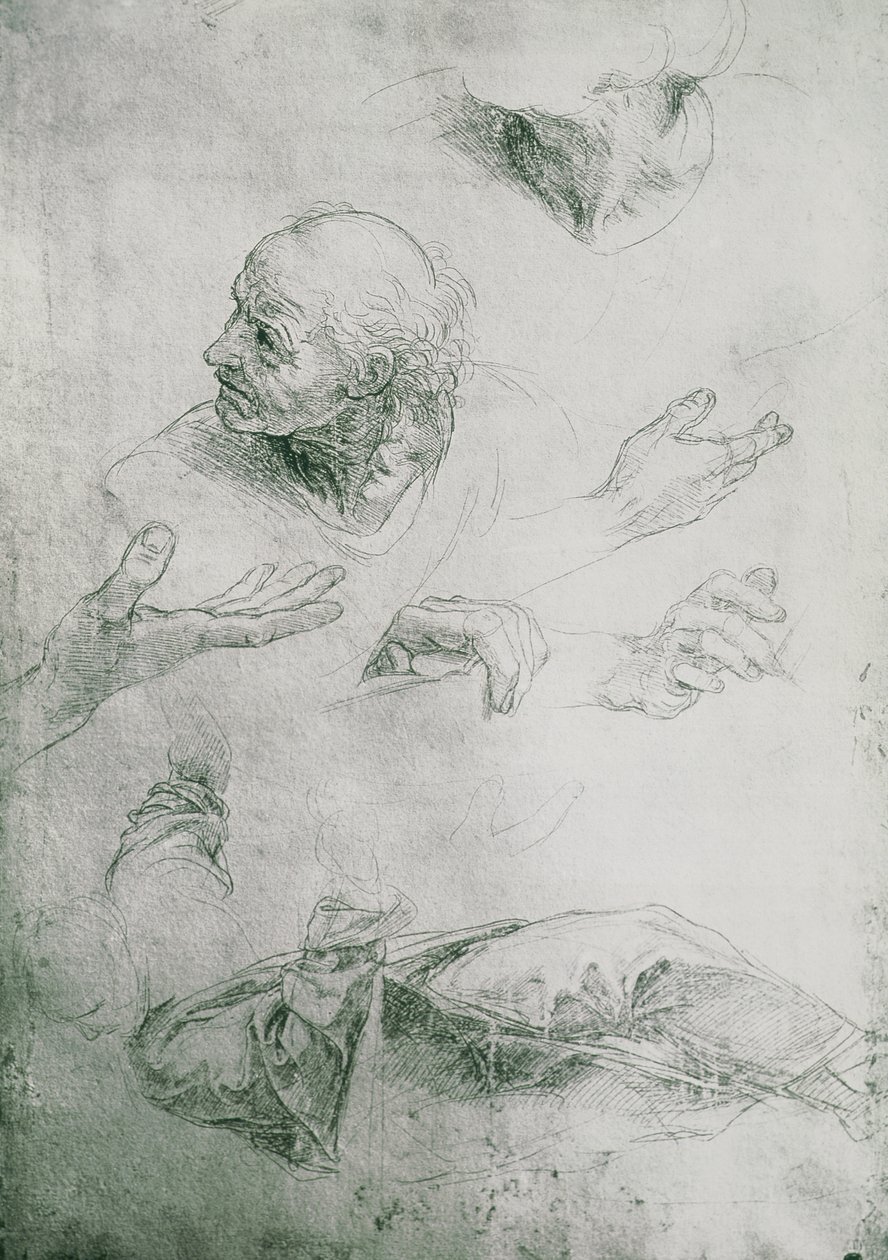 Tanulmányok Bramante alakjához (1444-1515) alkotó: Raffaello Sanzio Raphael