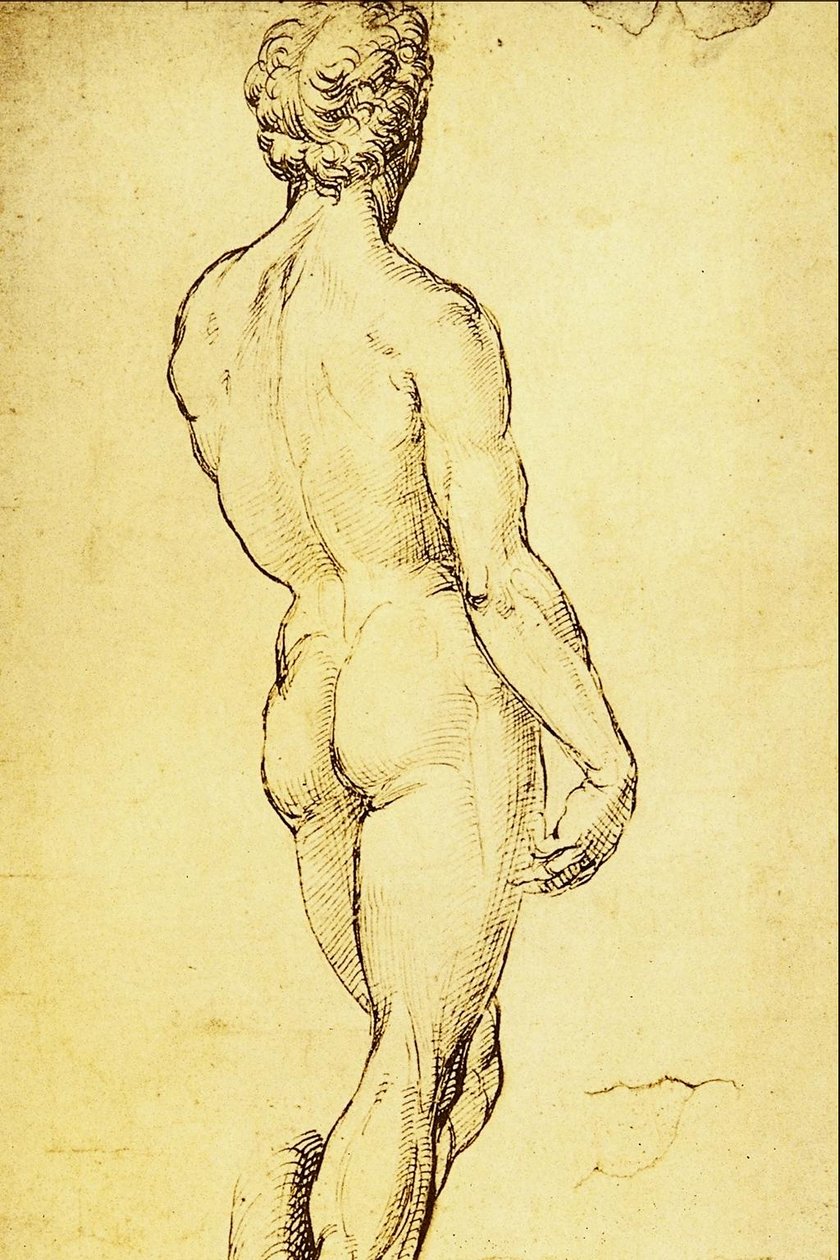 Meztelen tanulmány alkotó: Raffaello Sanzio Raphael