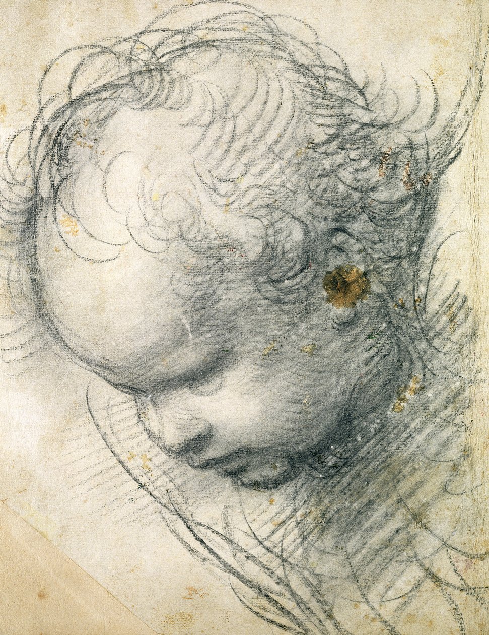 Kerub feje (fekete kréta és szén a papíron) alkotó: Raffaello Sanzio Raphael