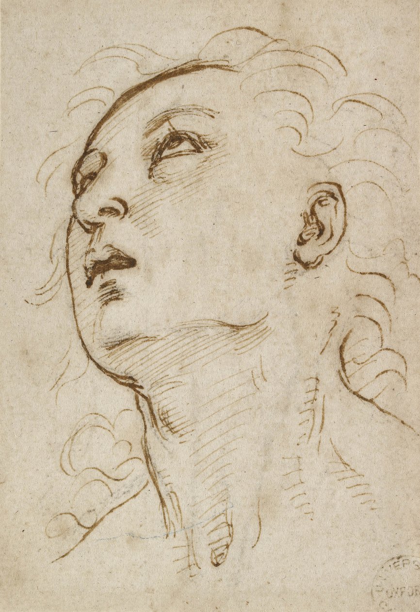 Egy felfelé tekintő fiatalember feje, c. 1497-1504 (toll és barna tinta fémhegy felett krémpapíron) alkotó: Raffaello Sanzio Raphael