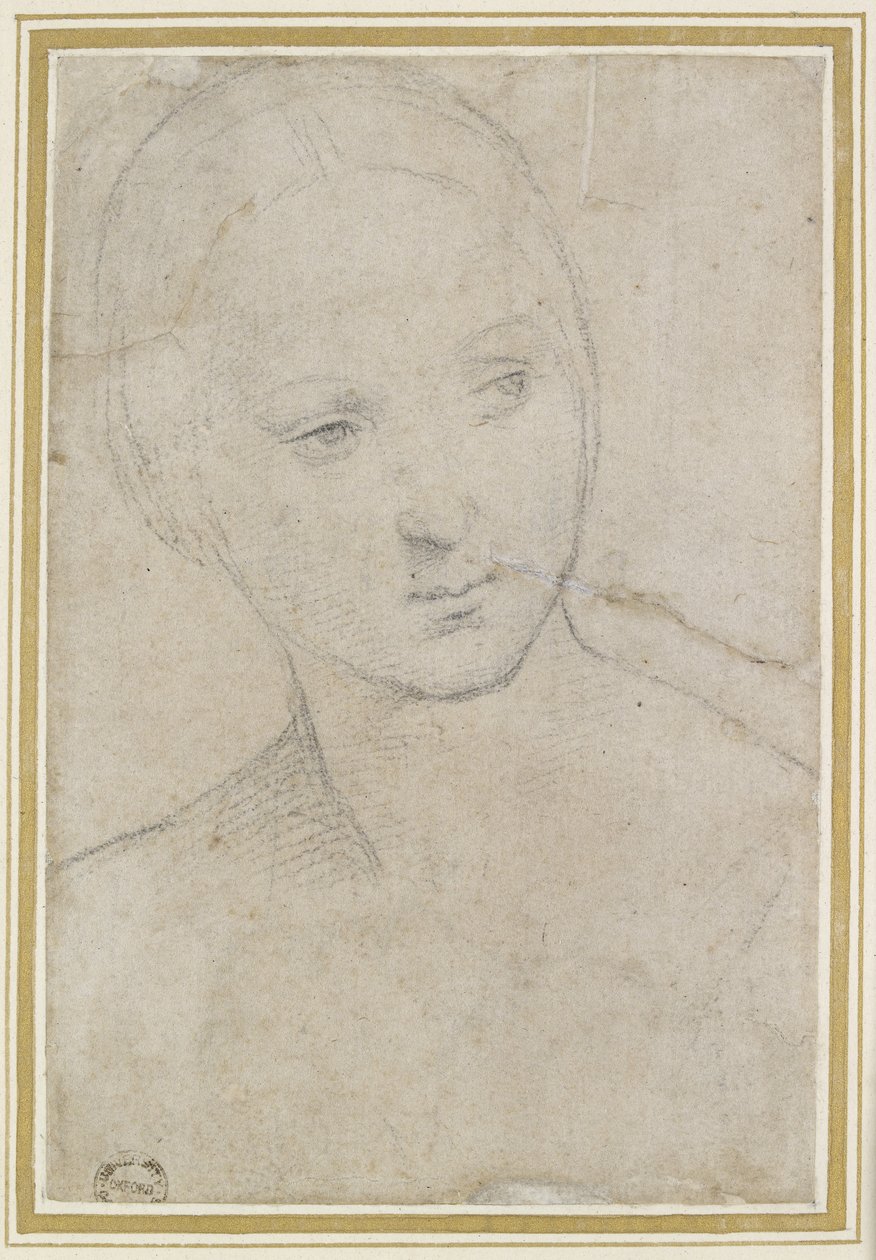 Tanulmány egy fiatal nő fejéről, alkotó: Raffaello Sanzio Raphael