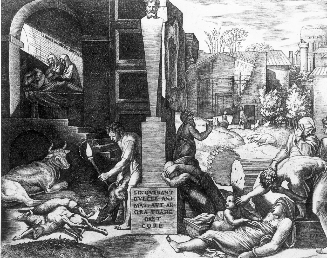 A pestis az állatokban és az emberekben alkotó: Raffaello Sanzio Raphael