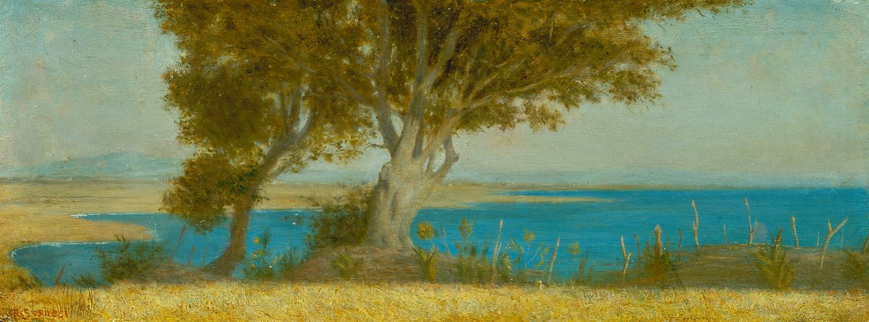 Marina di Castiglioncello alkotó: Raffaello Sernesi