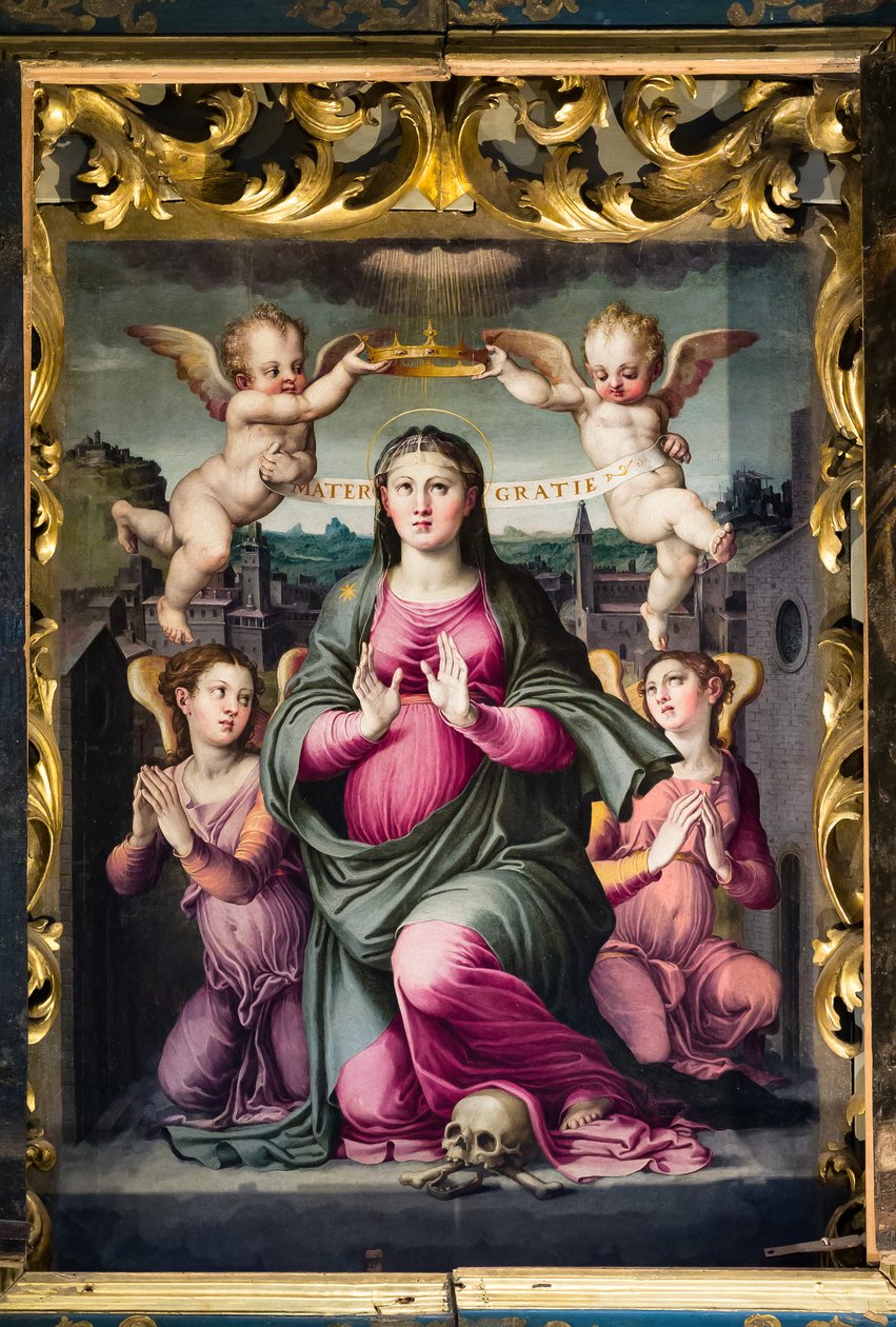 Madonna delle Grazie (olaj, tábla) alkotó: Raffaello dal Colle