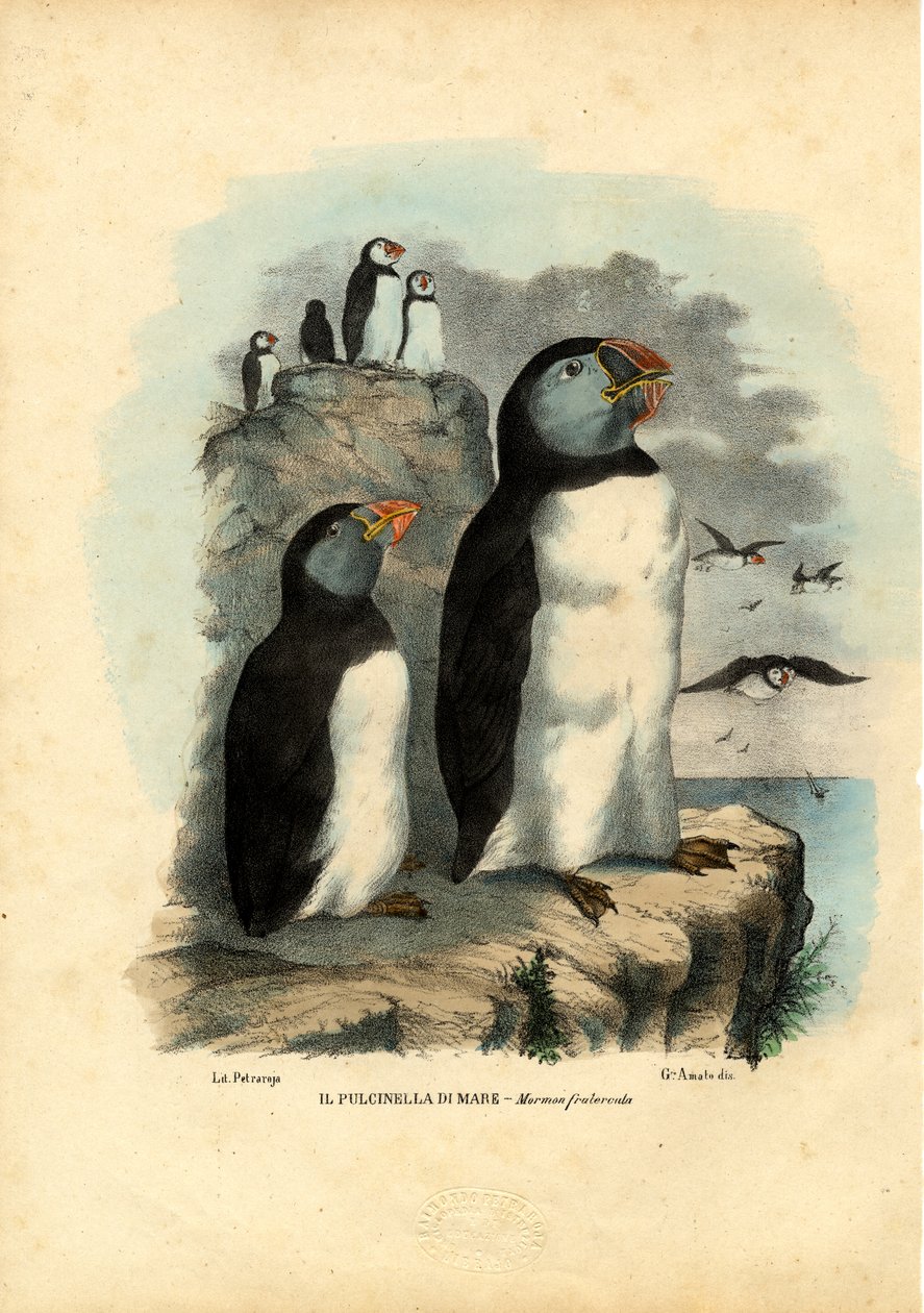 Atlanti gömböc, 1863-79 alkotó: Raimundo Petraroja