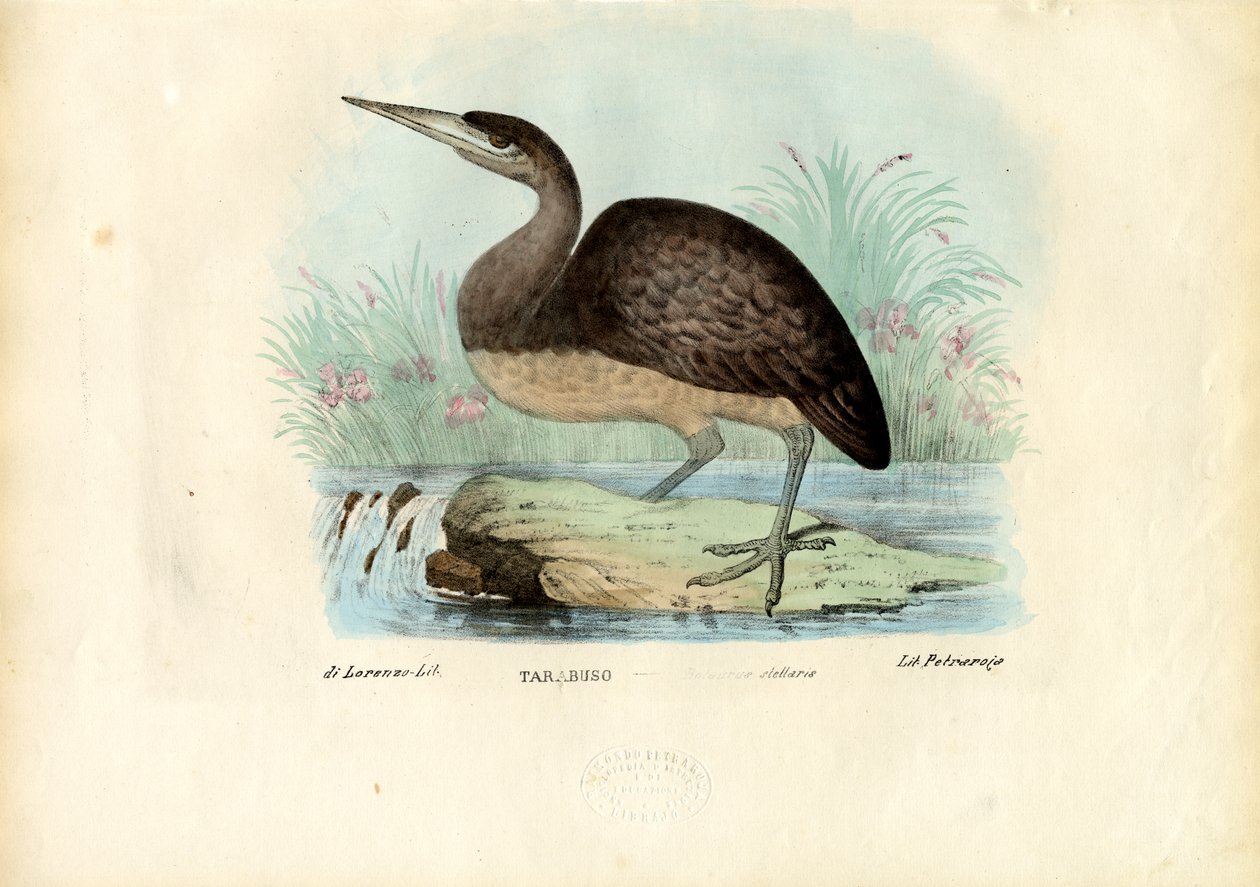Keserű, 1863-79 alkotó: Raimundo Petraroja