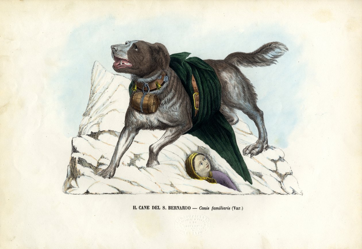 Kutyák, 1863-79 alkotó: Raimundo Petraroja