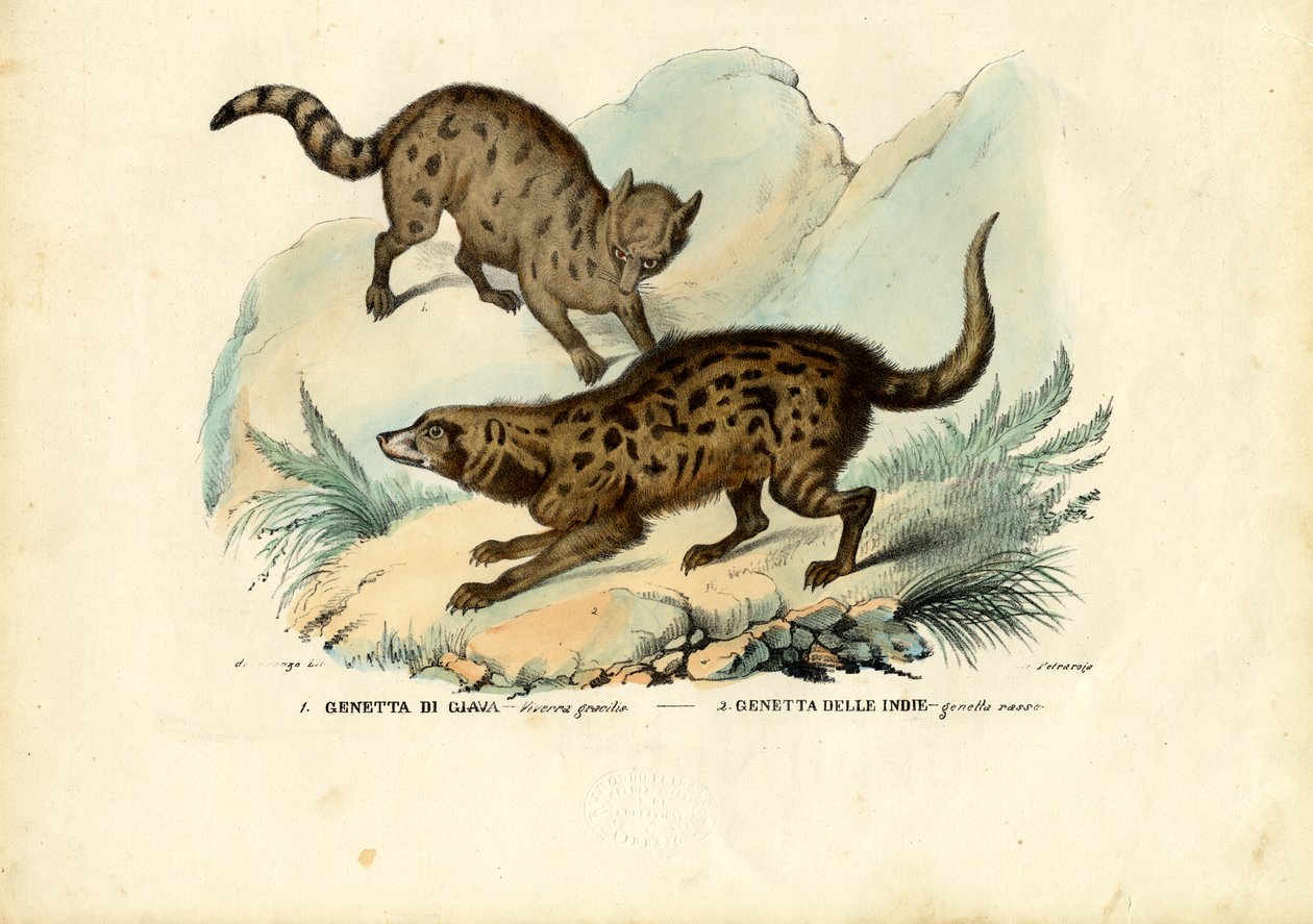 Genet, 1863-79 alkotó: Raimundo Petraroja