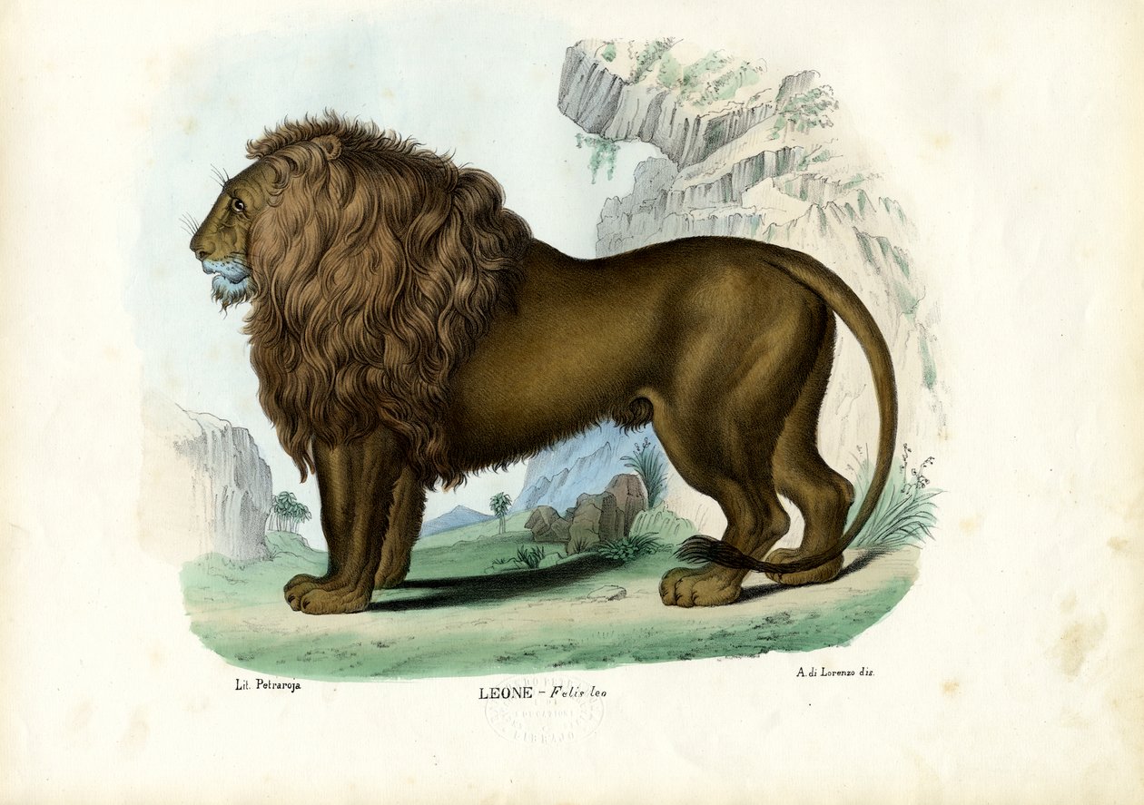 Oroszlán, 1863-79 alkotó: Raimundo Petraroja