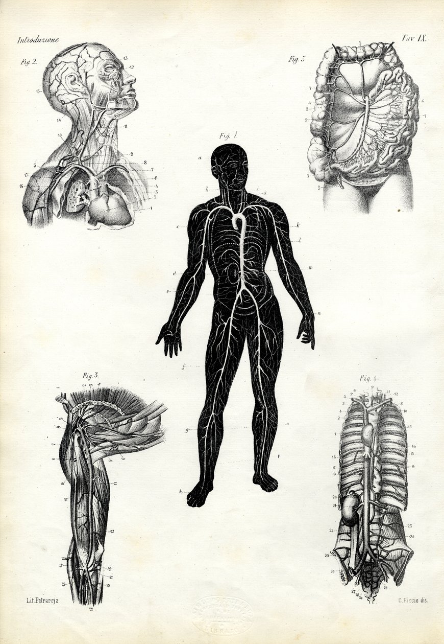 Izmok, 1863-79 alkotó: Raimundo Petraroja