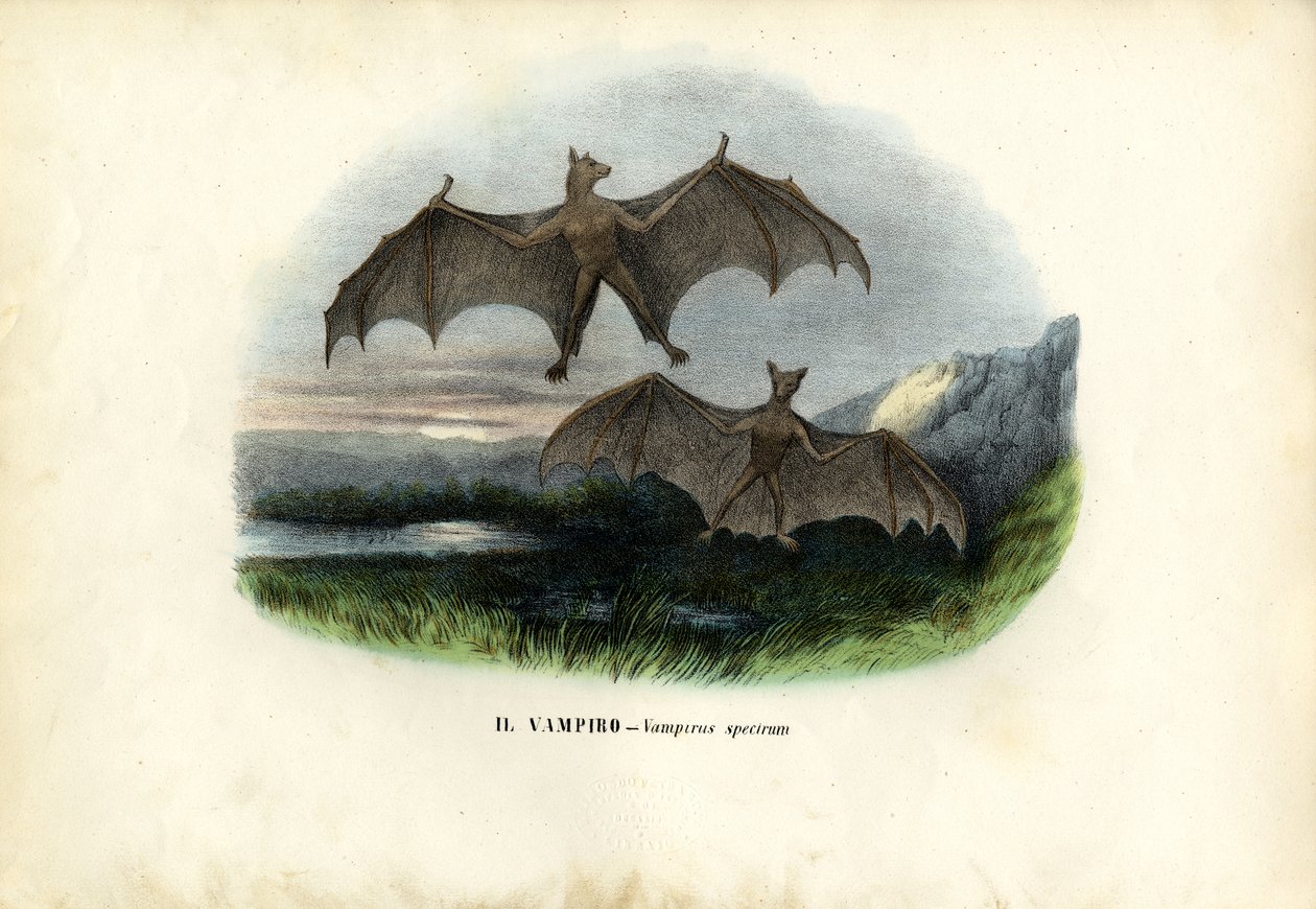 Spectral Bat, 1863-79 alkotó: Raimundo Petraroja