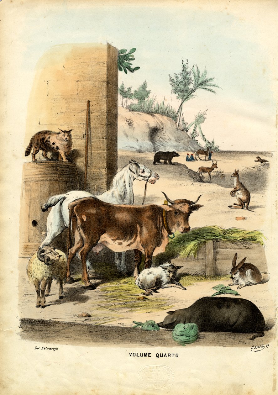 Címlap, 1863-79 alkotó: Raimundo Petraroja